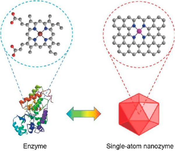 https://cdn.ncbi.nlm.nih.gov/pmc/blobs/a2eb/11345252/3e383be08b27/fchem-12-1442689-g001.jpg