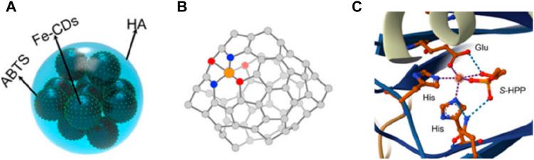 https://cdn.ncbi.nlm.nih.gov/pmc/blobs/a2eb/11345252/a2135479ea92/fchem-12-1442689-g005.jpg