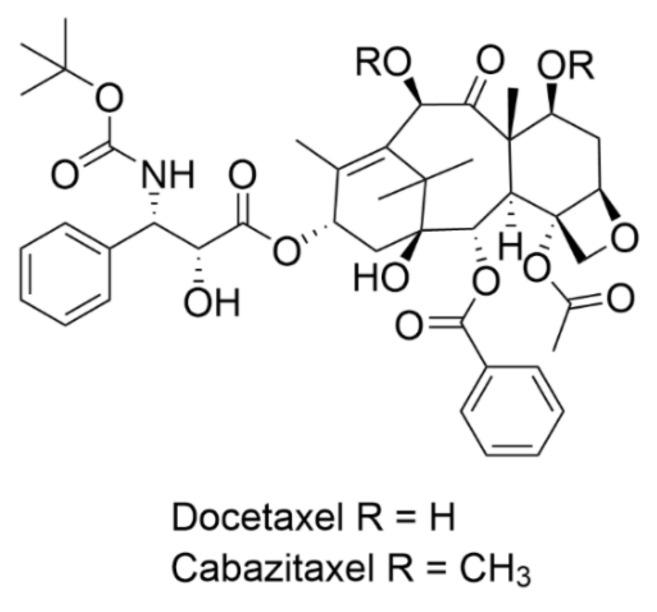 https://cdn.ncbi.nlm.nih.gov/pmc/blobs/a2ec/8002726/801d6607ac9f/plants-10-00569-g002.jpg