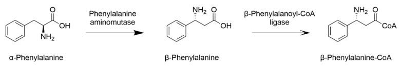 https://cdn.ncbi.nlm.nih.gov/pmc/blobs/a2ec/8002726/c8b7c6b48cb9/plants-10-00569-g006.jpg