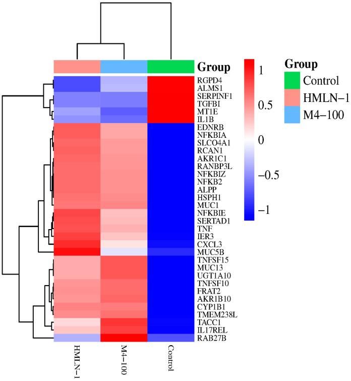https://cdn.ncbi.nlm.nih.gov/pmc/blobs/a2ed/12195564/4d0eba67ae9b/microorganisms-13-01428-g006.jpg