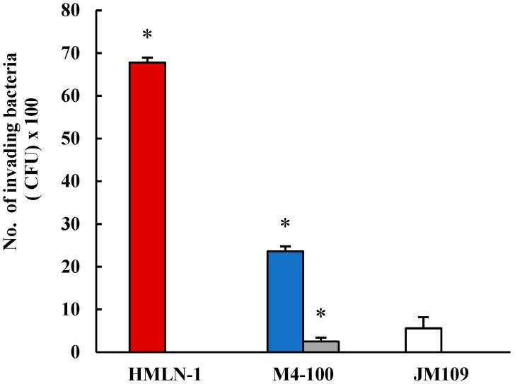 https://cdn.ncbi.nlm.nih.gov/pmc/blobs/a2ed/12195564/e7789924cd3b/microorganisms-13-01428-g003.jpg