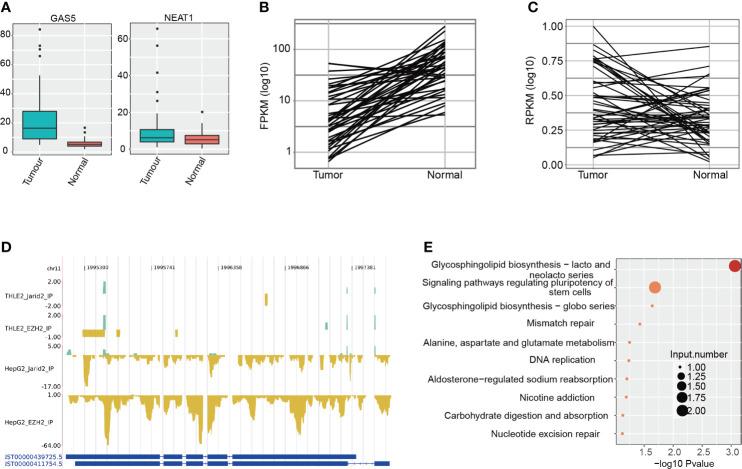 https://cdn.ncbi.nlm.nih.gov/pmc/blobs/a2ed/9792092/2dafe73ab97f/fonc-12-904633-g003.jpg
