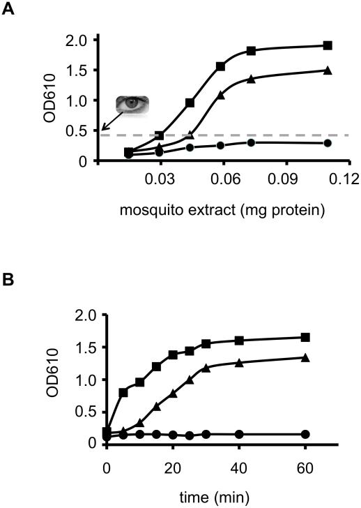 https://cdn.ncbi.nlm.nih.gov/pmc/blobs/a2ef/2930865/27bb140563a7/pntd.0000808.g001.jpg