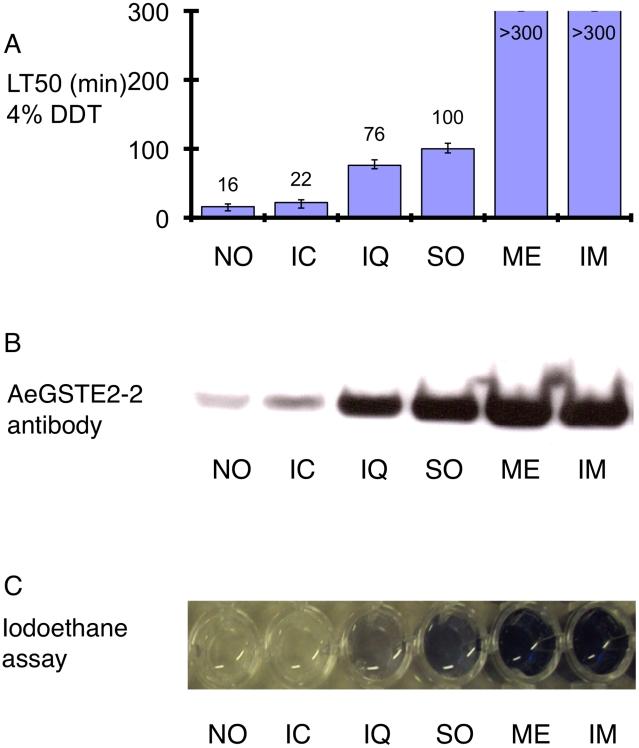 https://cdn.ncbi.nlm.nih.gov/pmc/blobs/a2ef/2930865/f8e2297d1a18/pntd.0000808.g002.jpg