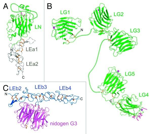 https://cdn.ncbi.nlm.nih.gov/pmc/blobs/a2ef/3544787/4ce2d50d8978/cam-7-56-g2.jpg