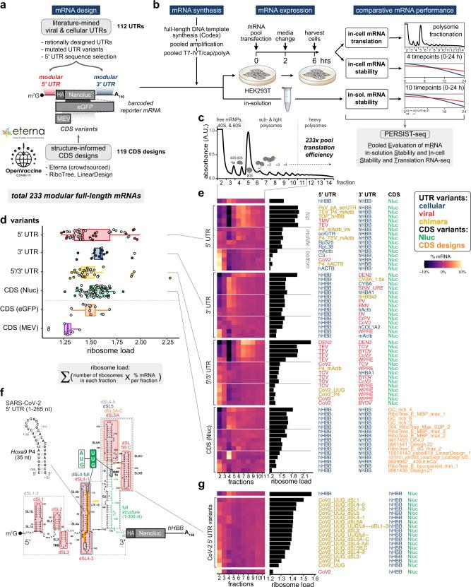 https://cdn.ncbi.nlm.nih.gov/pmc/blobs/a2ef/8940940/aeecc1dbbfb1/41467_2022_28776_Fig1_HTML.jpg