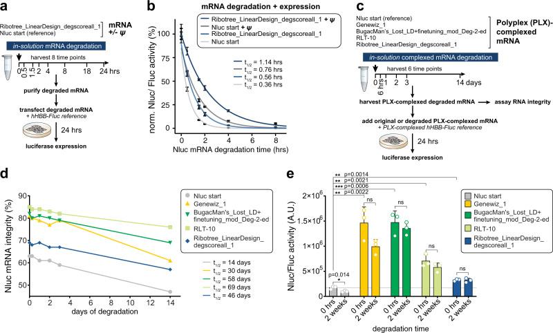 https://cdn.ncbi.nlm.nih.gov/pmc/blobs/a2ef/8940940/d31ce9c5810d/41467_2022_28776_Fig5_HTML.jpg