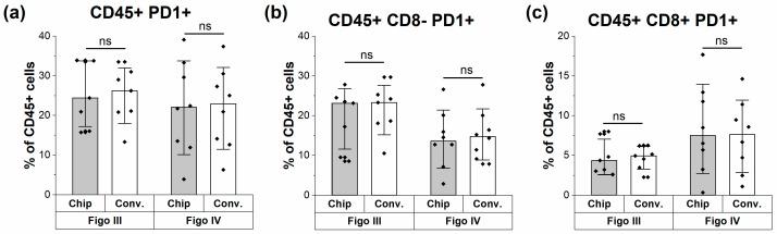 https://cdn.ncbi.nlm.nih.gov/pmc/blobs/a2f2/10778191/e5b3c34392bc/cells-13-00007-g004.jpg