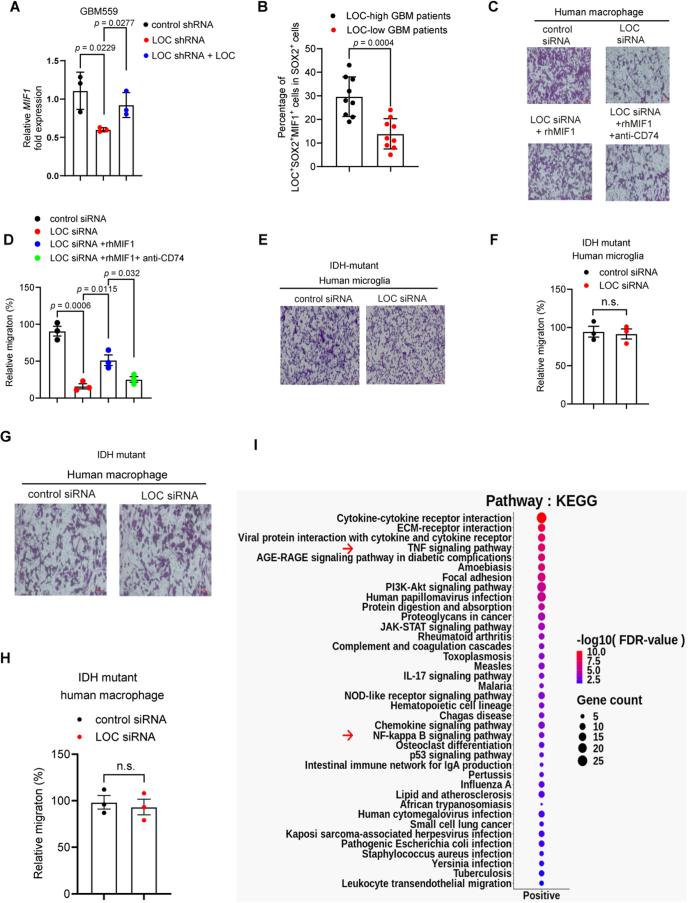 https://cdn.ncbi.nlm.nih.gov/pmc/blobs/a2f3/11178504/0441364ac332/41556_2024_1428_Fig9_ESM.jpg