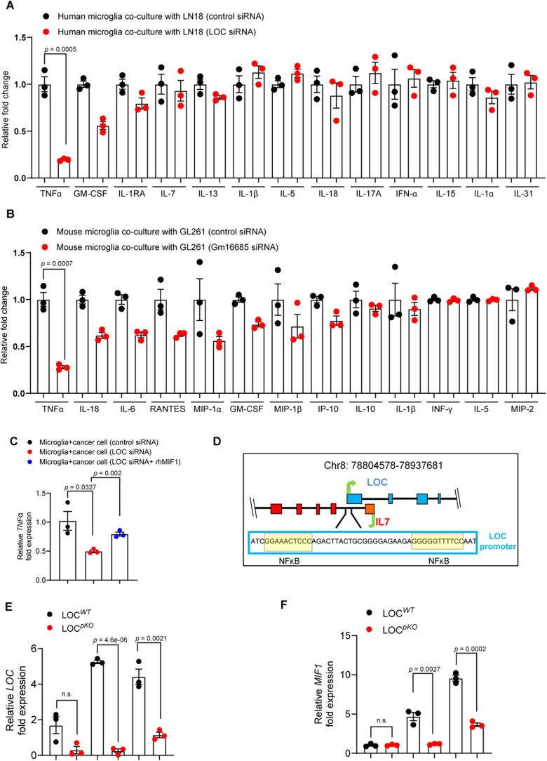 https://cdn.ncbi.nlm.nih.gov/pmc/blobs/a2f3/11178504/4643768b79de/41556_2024_1428_Fig10_ESM.jpg