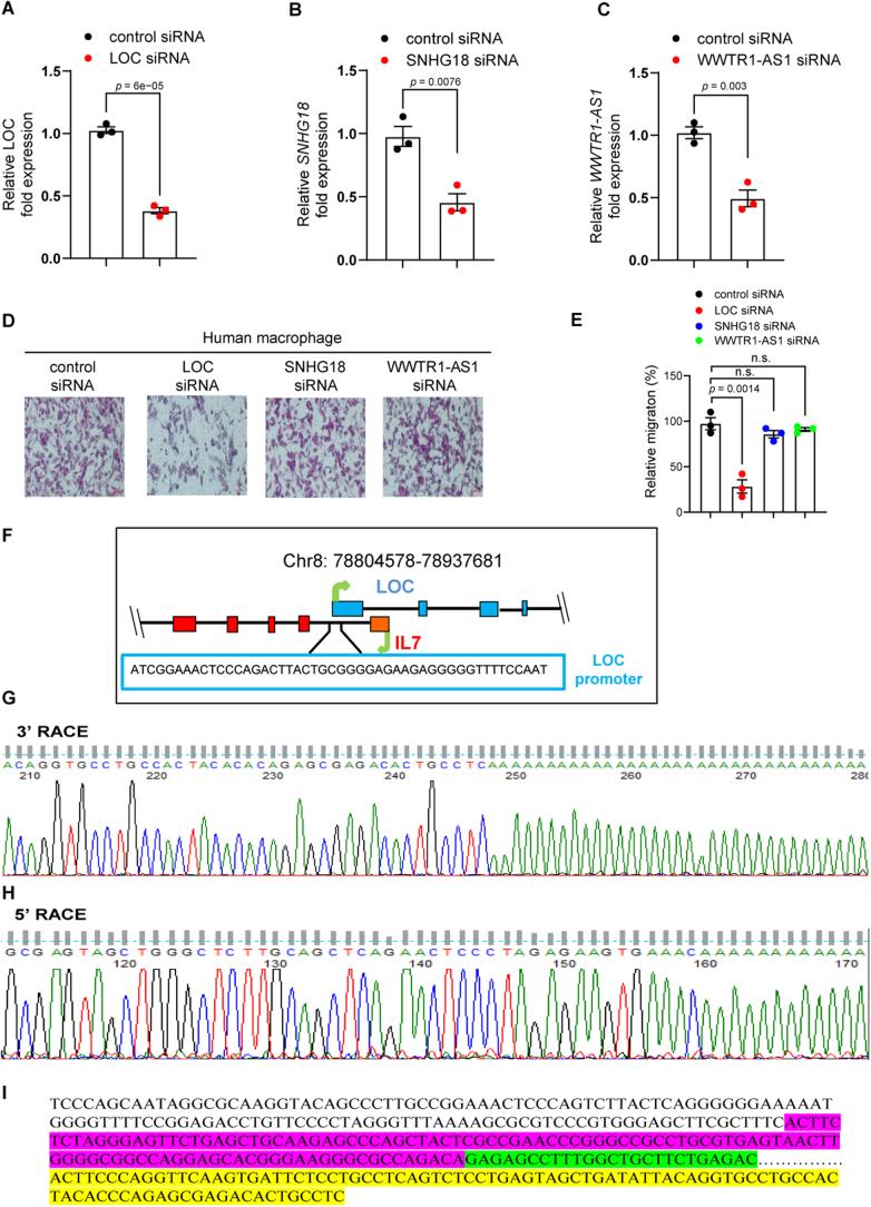 https://cdn.ncbi.nlm.nih.gov/pmc/blobs/a2f3/11178504/605f295d6559/41556_2024_1428_Fig8_ESM.jpg