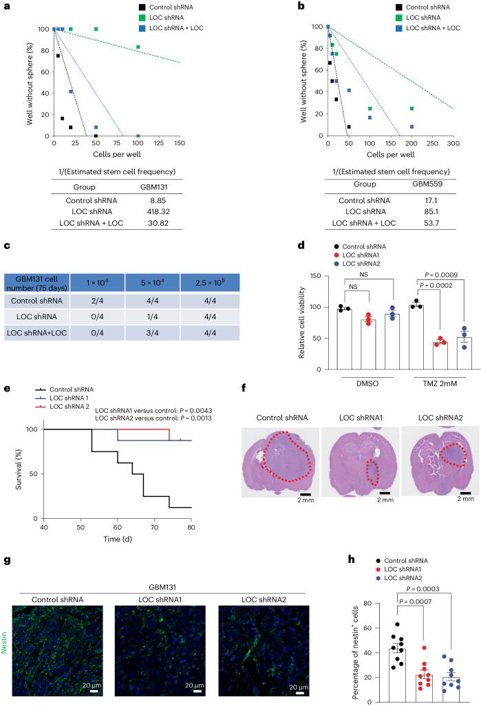 https://cdn.ncbi.nlm.nih.gov/pmc/blobs/a2f3/11178504/6f3cc0db8435/41556_2024_1428_Fig5_HTML.jpg