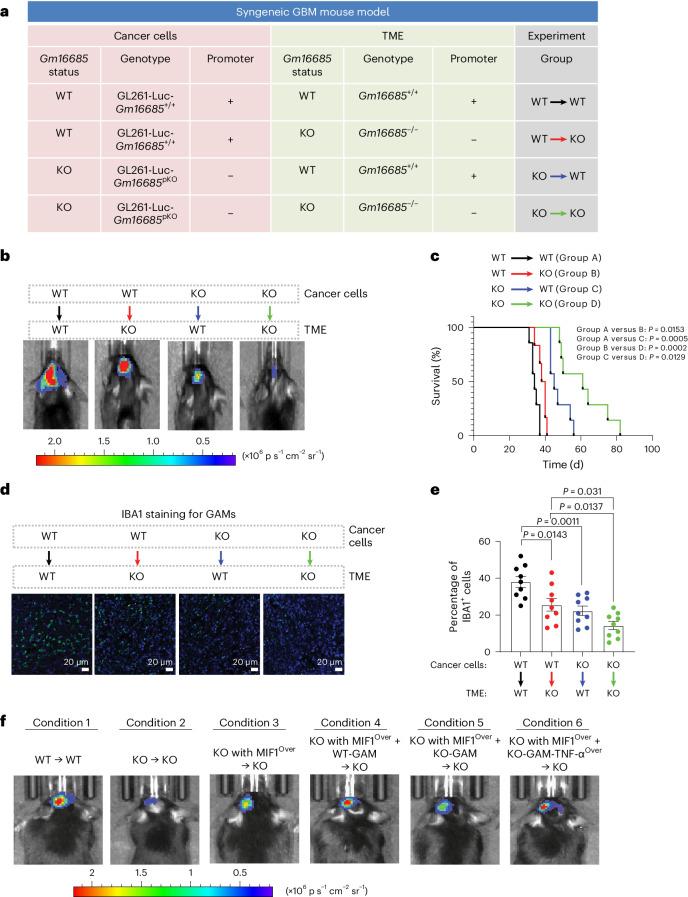 https://cdn.ncbi.nlm.nih.gov/pmc/blobs/a2f3/11178504/94d77feec499/41556_2024_1428_Fig6_HTML.jpg