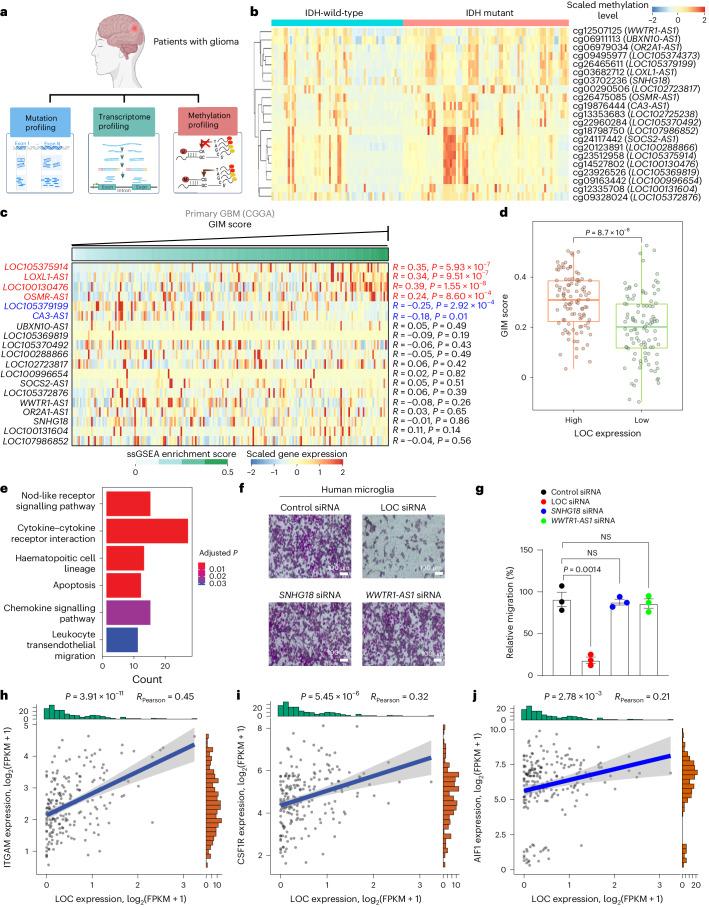 https://cdn.ncbi.nlm.nih.gov/pmc/blobs/a2f3/11178504/9902dcff5ad4/41556_2024_1428_Fig1_HTML.jpg