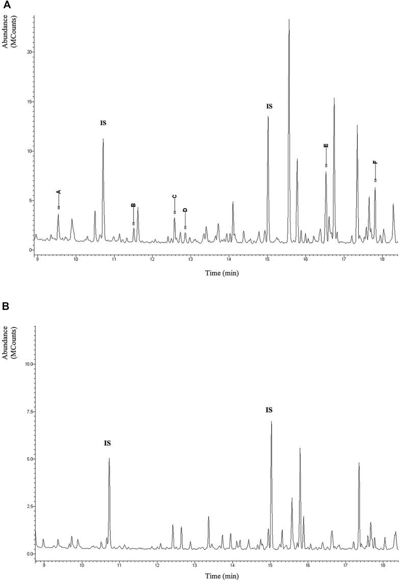 https://cdn.ncbi.nlm.nih.gov/pmc/blobs/a2f4/10017521/2eb356357f9c/fgene-14-1077625-g003.jpg