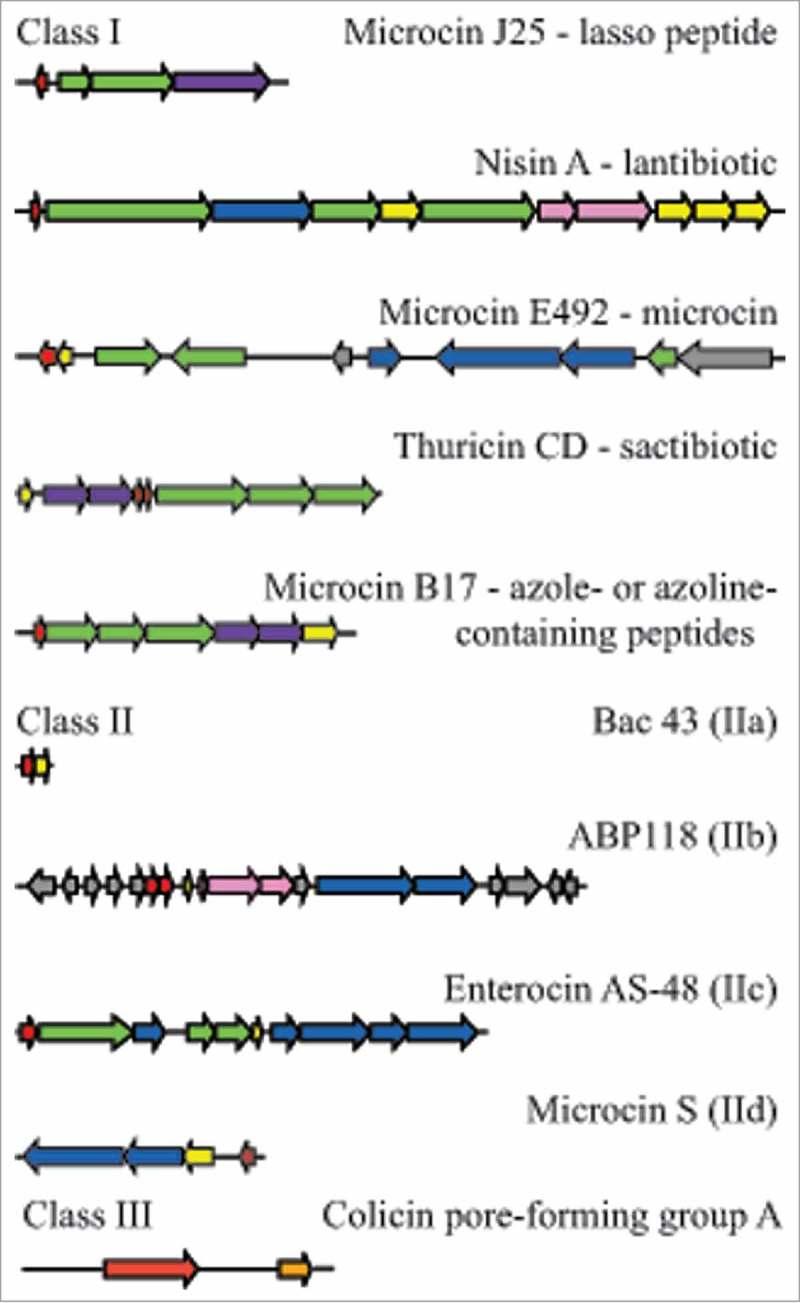 https://cdn.ncbi.nlm.nih.gov/pmc/blobs/a2f8/6363078/07c3544d9bd0/kgmi-10-01-1455790-g003.jpg
