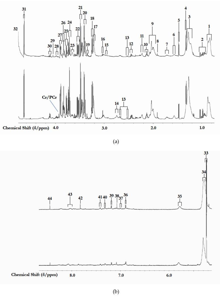 https://cdn.ncbi.nlm.nih.gov/pmc/blobs/a2fc/7998791/384ad8ea218e/cells-10-00572-g001.jpg