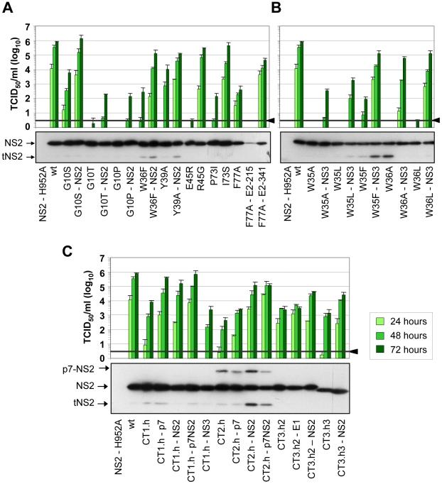 https://cdn.ncbi.nlm.nih.gov/pmc/blobs/a2fe/3002993/1bc8173cb154/ppat.1001233.g004.jpg