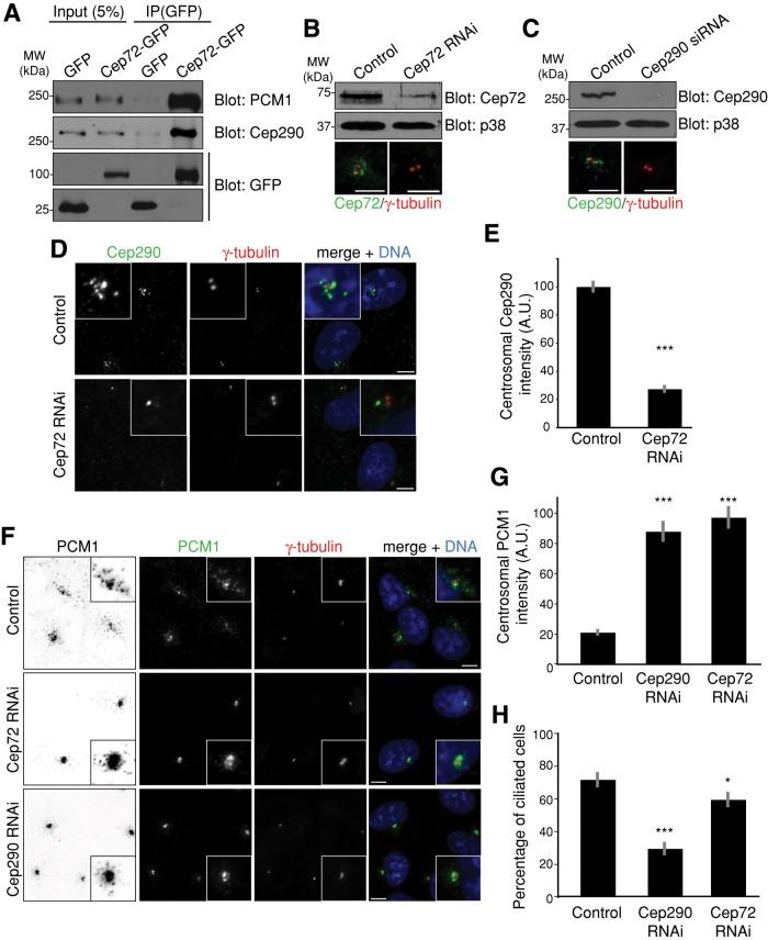 https://cdn.ncbi.nlm.nih.gov/pmc/blobs/a2fe/3431927/05746fd44158/3322fig3.jpg