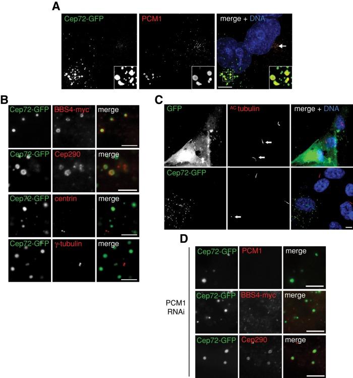 https://cdn.ncbi.nlm.nih.gov/pmc/blobs/a2fe/3431927/a27ee0869cbf/3322fig4.jpg