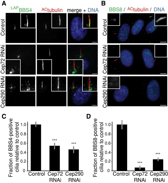 https://cdn.ncbi.nlm.nih.gov/pmc/blobs/a2fe/3431927/f034a181fb5f/3322fig5.jpg