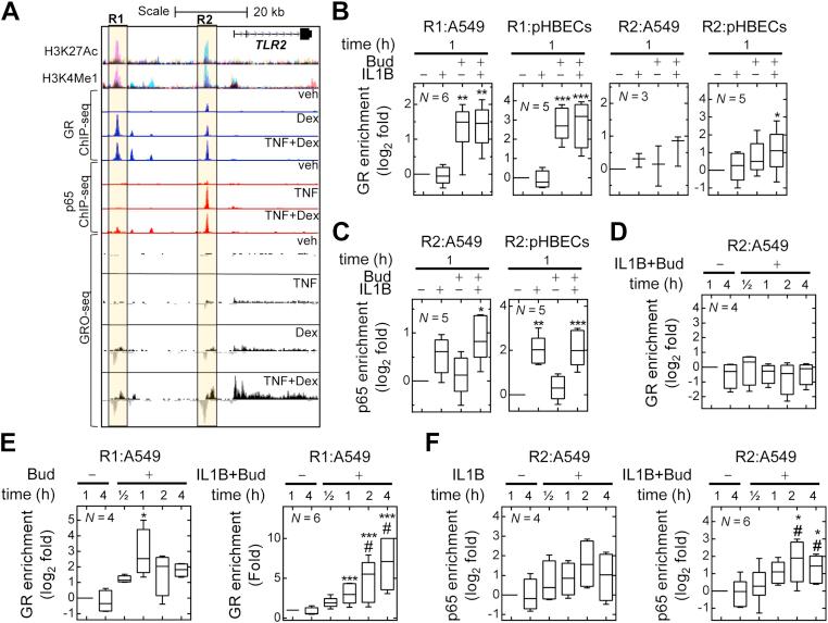 https://cdn.ncbi.nlm.nih.gov/pmc/blobs/a2fe/8942839/2a9f664eba8e/gr4.jpg
