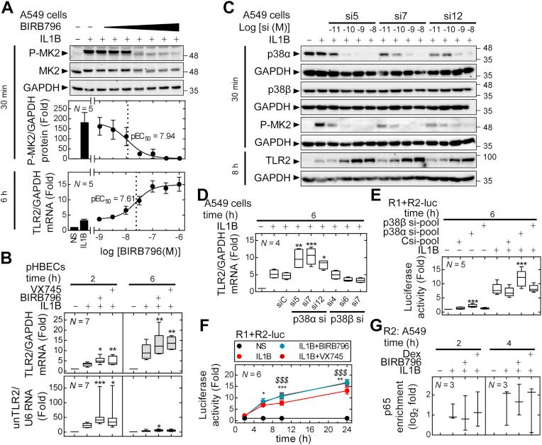https://cdn.ncbi.nlm.nih.gov/pmc/blobs/a2fe/8942839/8ab665954234/gr8.jpg