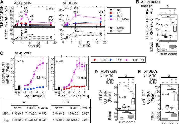 https://cdn.ncbi.nlm.nih.gov/pmc/blobs/a2fe/8942839/d433eaa0f738/gr2.jpg