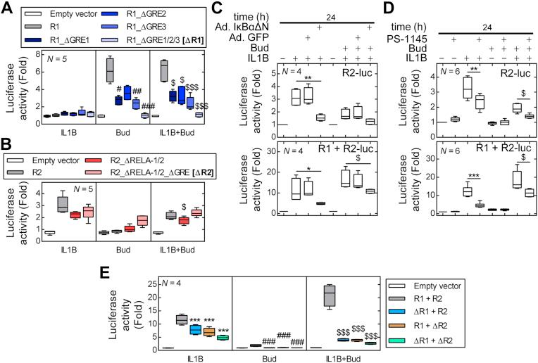 https://cdn.ncbi.nlm.nih.gov/pmc/blobs/a2fe/8942839/d4de851e3ab6/gr6.jpg