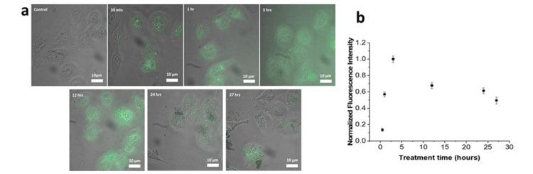 https://cdn.ncbi.nlm.nih.gov/pmc/blobs/a2ff/10874252/a3ddb7d533d6/cureus-0016-00000052511-i09.jpg