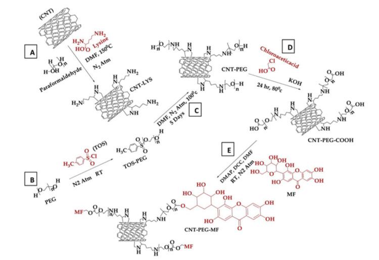 https://cdn.ncbi.nlm.nih.gov/pmc/blobs/a2ff/10874252/c00dc6568e3c/cureus-0016-00000052511-i04.jpg