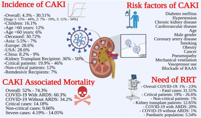 https://cdn.ncbi.nlm.nih.gov/pmc/blobs/a2ff/9672072/bfb552f512c5/fmed-09-973030-g004.jpg