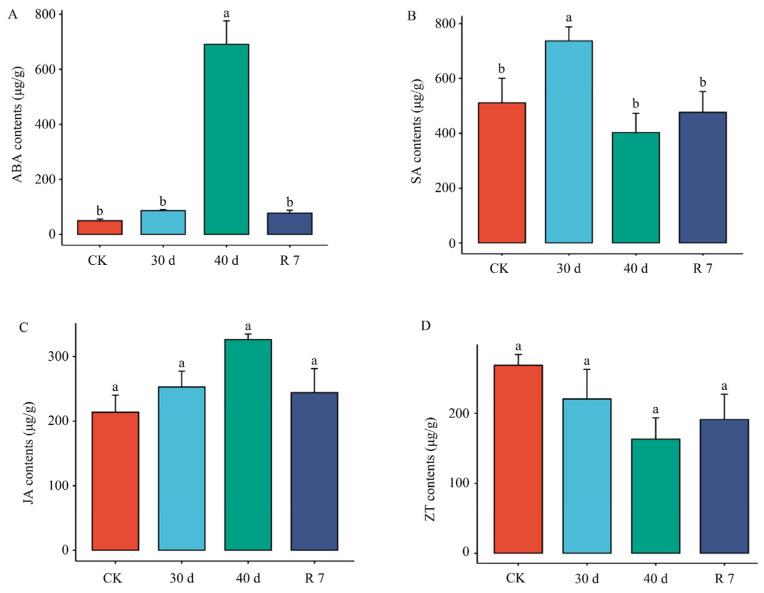 https://cdn.ncbi.nlm.nih.gov/pmc/blobs/a300/11942184/1ec29366eb9e/genes-16-00350-g003.jpg