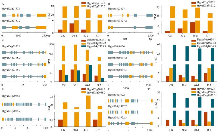 https://cdn.ncbi.nlm.nih.gov/pmc/blobs/a300/11942184/b18132fc2bf4/genes-16-00350-g006.jpg