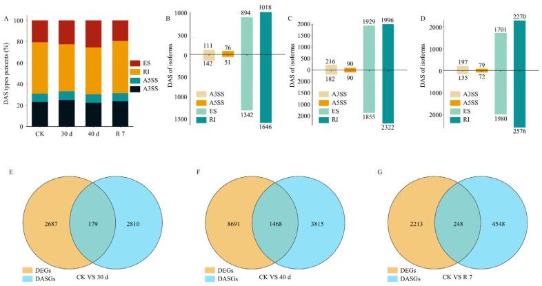 https://cdn.ncbi.nlm.nih.gov/pmc/blobs/a300/11942184/fe514d59cdaa/genes-16-00350-g004.jpg