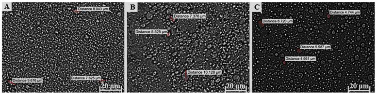 https://cdn.ncbi.nlm.nih.gov/pmc/blobs/a300/12195940/7055fa3d226a/pharmaceutics-17-00680-g005.jpg