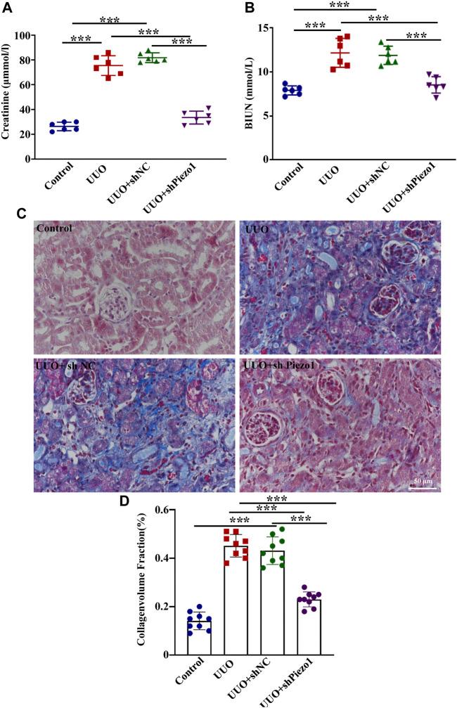 https://cdn.ncbi.nlm.nih.gov/pmc/blobs/a301/8602364/10f40d8cbc0d/fcell-09-741060-g008.jpg