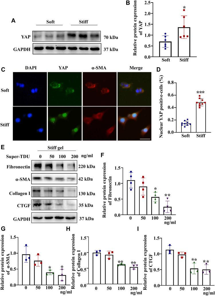 https://cdn.ncbi.nlm.nih.gov/pmc/blobs/a301/8602364/6d206a96d31c/fcell-09-741060-g002.jpg