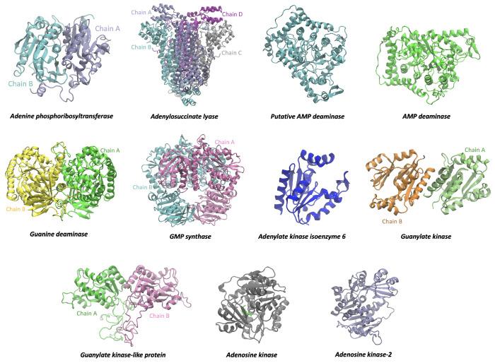 https://cdn.ncbi.nlm.nih.gov/pmc/blobs/a304/10891554/e48c17d21052/tropicalmed-09-00041-g003.jpg