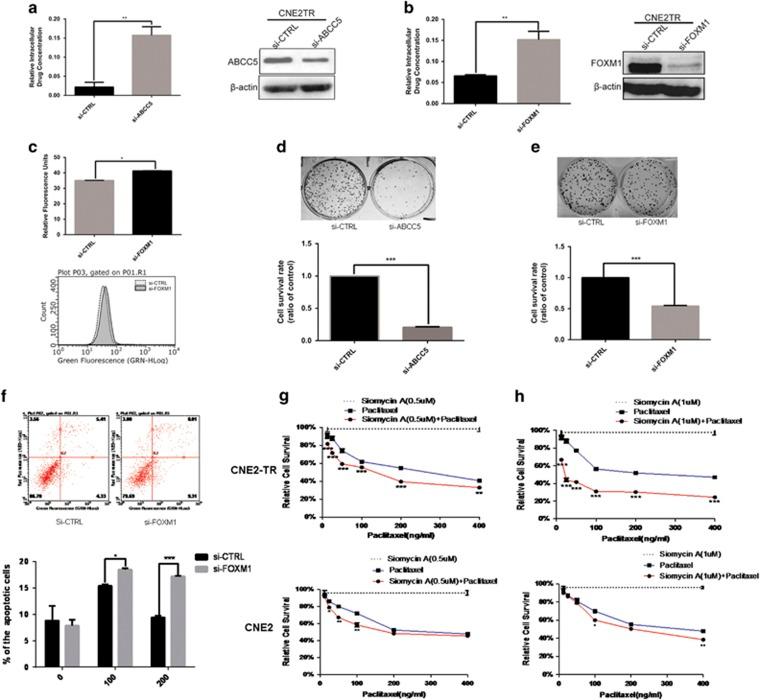 https://cdn.ncbi.nlm.nih.gov/pmc/blobs/a304/5386553/6b19971f87fa/cddis201753f6.jpg