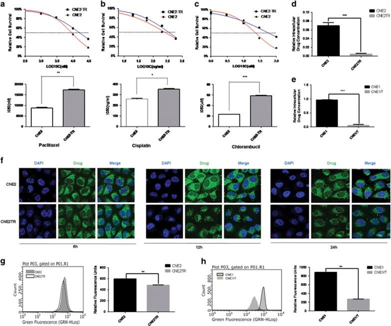 https://cdn.ncbi.nlm.nih.gov/pmc/blobs/a304/5386553/f453aa4f8cfa/cddis201753f3.jpg