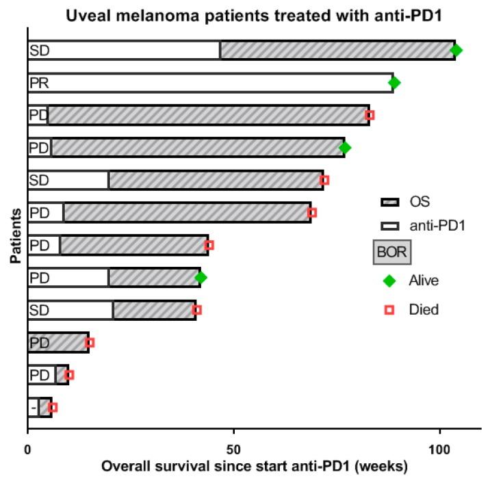 https://cdn.ncbi.nlm.nih.gov/pmc/blobs/a305/6678641/b1b1866e3e00/cancers-11-01007-g005.jpg