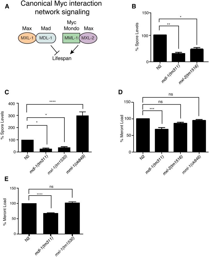https://cdn.ncbi.nlm.nih.gov/pmc/blobs/a306/5015929/9aab23c6cdad/2707f2.jpg