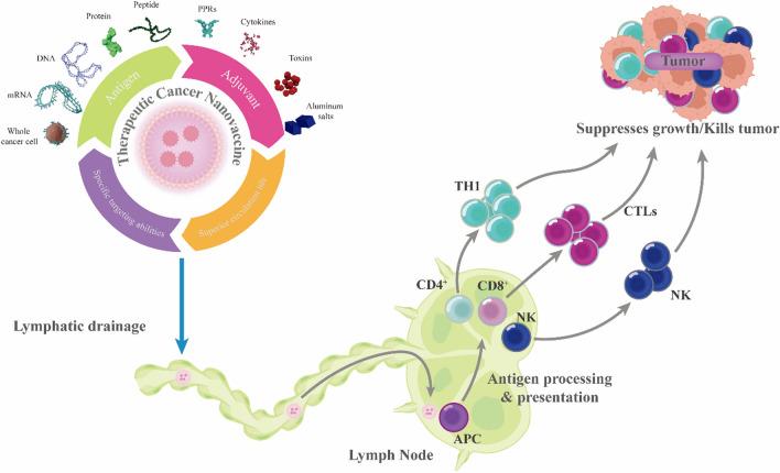https://cdn.ncbi.nlm.nih.gov/pmc/blobs/a307/11603676/4be019560f34/13045_2024_1628_Fig3_HTML.jpg