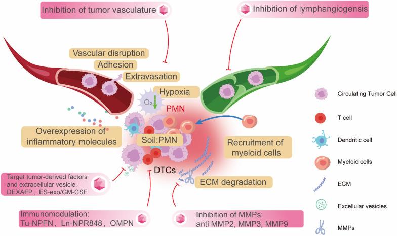 https://cdn.ncbi.nlm.nih.gov/pmc/blobs/a307/11603676/77edb32e6eb4/13045_2024_1628_Fig6_HTML.jpg