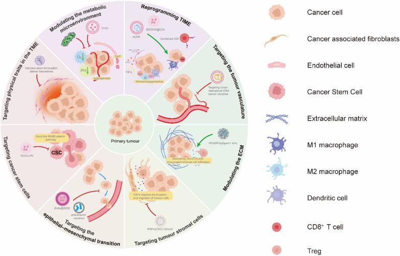 https://cdn.ncbi.nlm.nih.gov/pmc/blobs/a307/11603676/7fe918504bdd/13045_2024_1628_Fig5_HTML.jpg