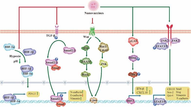 https://cdn.ncbi.nlm.nih.gov/pmc/blobs/a307/11603676/a0d0d8d95b29/13045_2024_1628_Fig2_HTML.jpg