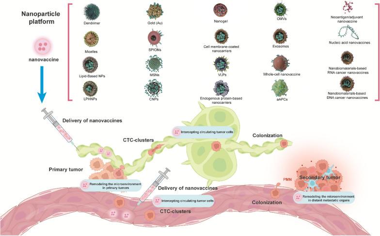 https://cdn.ncbi.nlm.nih.gov/pmc/blobs/a307/11603676/c2fbe43bd5b6/13045_2024_1628_Fig4_HTML.jpg
