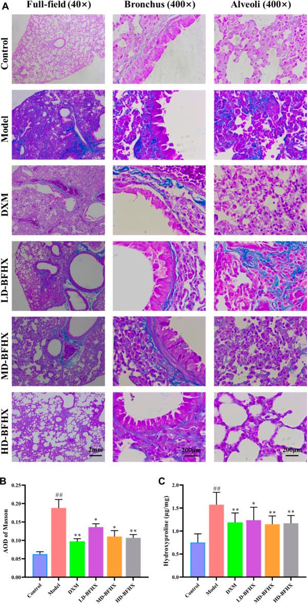 https://cdn.ncbi.nlm.nih.gov/pmc/blobs/a30a/9944029/24c4065c82fe/fphar-14-1084617-g002.jpg